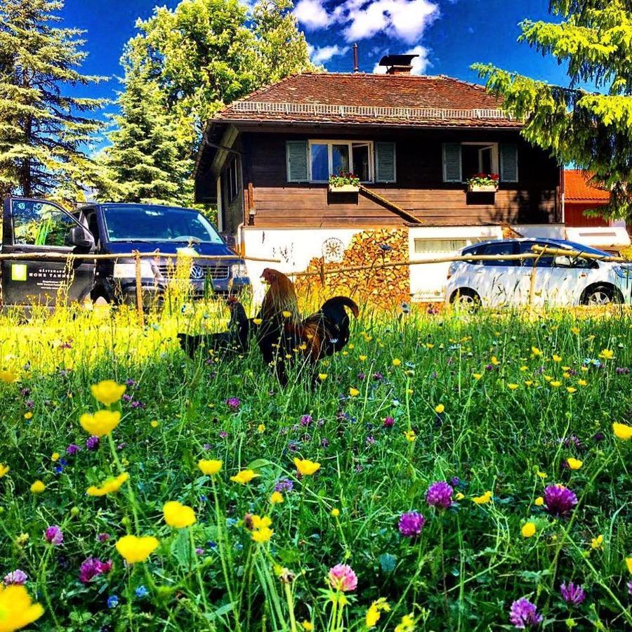 Gaestehaus Hohe Tannen Garmisch-Partenkirchen járás Kültér fotó